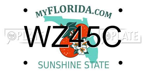 WZ45C Florida License Plate