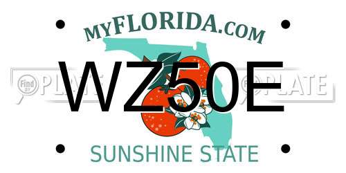 WZ50E Florida License Plate
