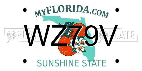WZ79V Florida License Plate