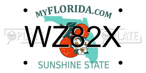 WZ82X Florida License Plate