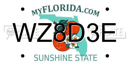 WZ8D3E Florida License Plate