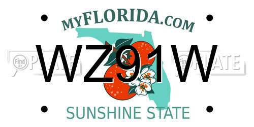 WZ91W Florida License Plate