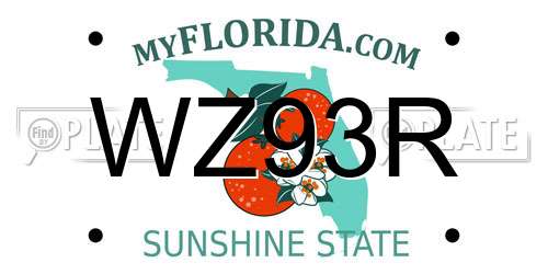 WZ93R Florida License Plate
