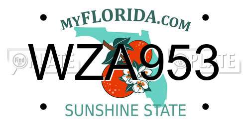 WZA953 Florida License Plate
