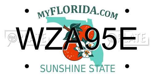 WZA95E Florida License Plate