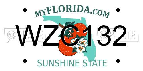 WZC132 Florida License Plate