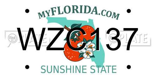 WZC137 Florida License Plate