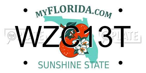 WZC13T Florida License Plate