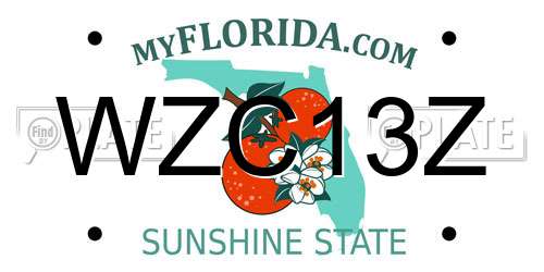 WZC13Z Florida License Plate