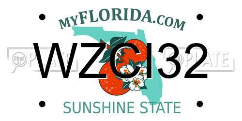 WZCI32 Florida License Plate