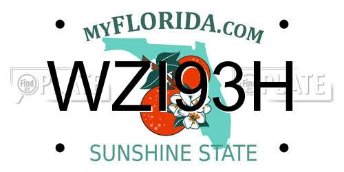 WZI93H Florida License Plate