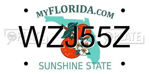 WZJ55Z Florida License Plate