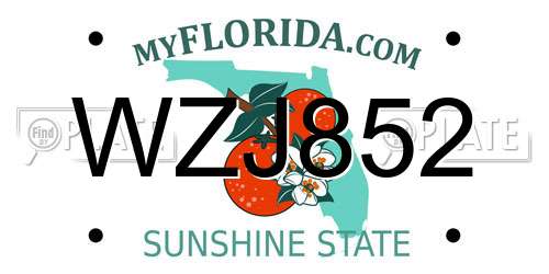 WZJ852 Florida License Plate
