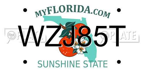 WZJ85T Florida License Plate