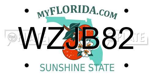 WZJB82 Florida License Plate