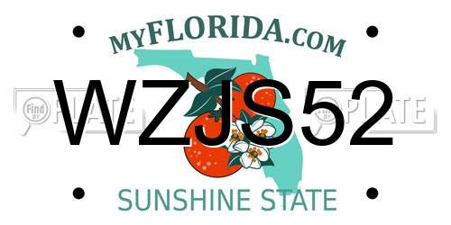 WZJS52 Florida License Plate
