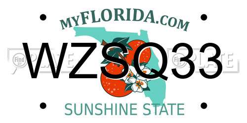WZSQ33 Florida License Plate
