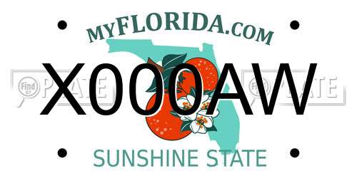X000AW Florida License Plate