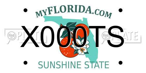 X000TS Florida License Plate