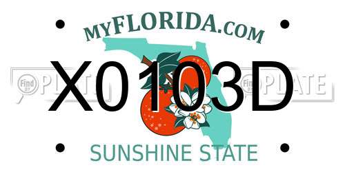 X0103D Florida License Plate