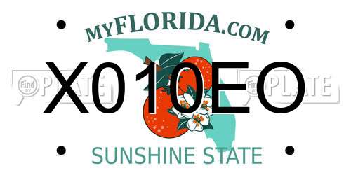 X010EO Florida License Plate