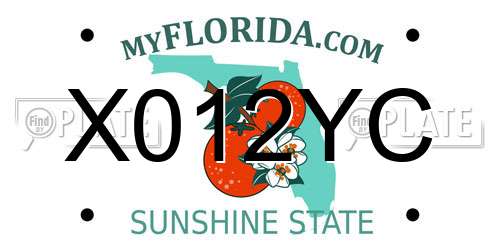 X012YC Florida License Plate