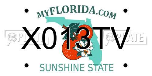 X013TV Florida License Plate