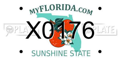 X0176 Florida License Plate