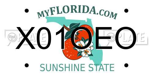 X01OEO Florida License Plate