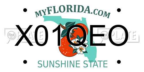 X01QEO Florida License Plate