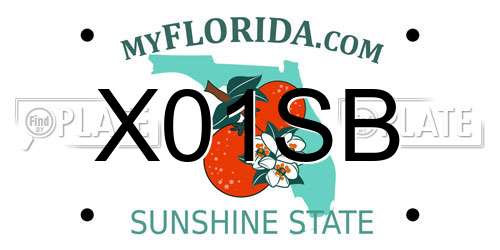 X01SB Florida License Plate