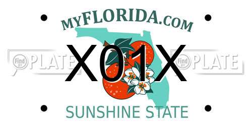 X01X Florida License Plate