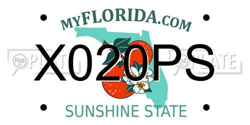 X020PS Florida License Plate