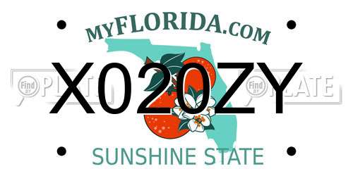 X020ZY Florida License Plate