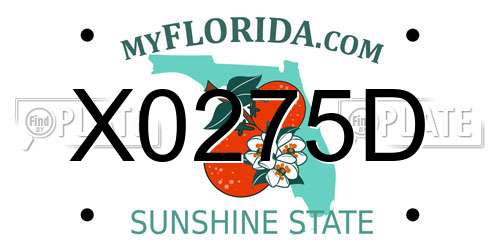 X0275D Florida License Plate