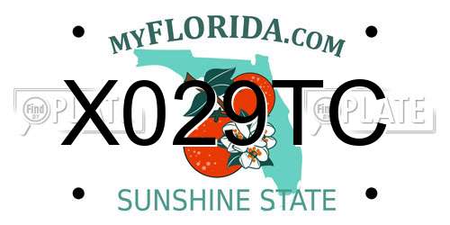 X029TC Florida License Plate