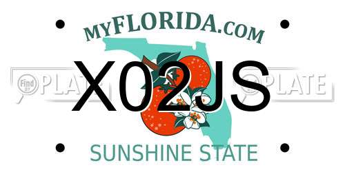 X02JS Florida License Plate