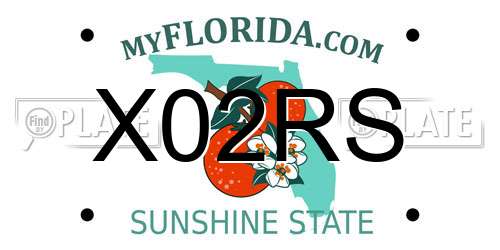 X02RS Florida License Plate