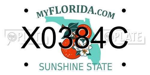 X0384C Florida License Plate