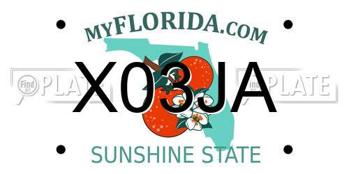 X03JA Florida License Plate
