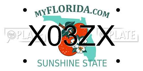 X03ZX Florida License Plate