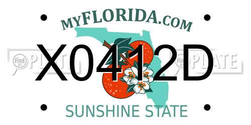X0412D Florida License Plate