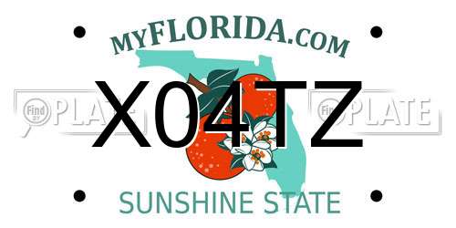 X04TZ Florida License Plate