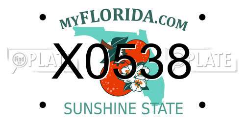 X0538 Florida License Plate