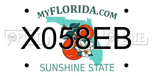 X058EB Florida License Plate