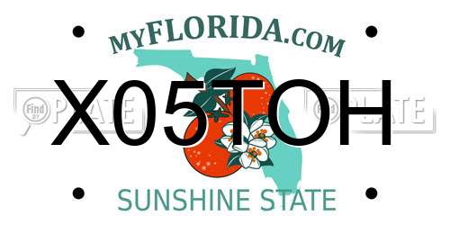 X05TOH Florida License Plate