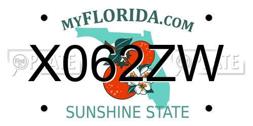 X062ZW Florida License Plate