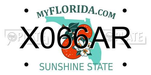 X066AR Florida License Plate