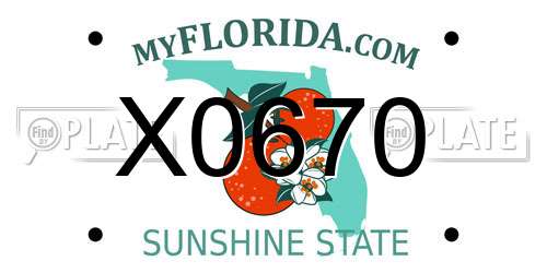 X0670 Florida License Plate