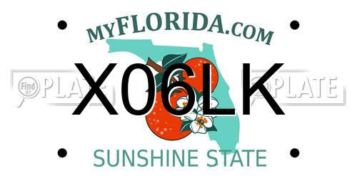 X06LK Florida License Plate